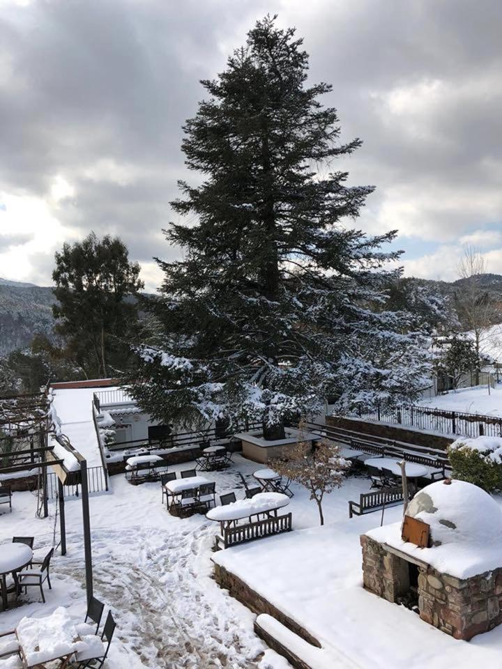 Hostal La Guineu Viladrau Kültér fotó